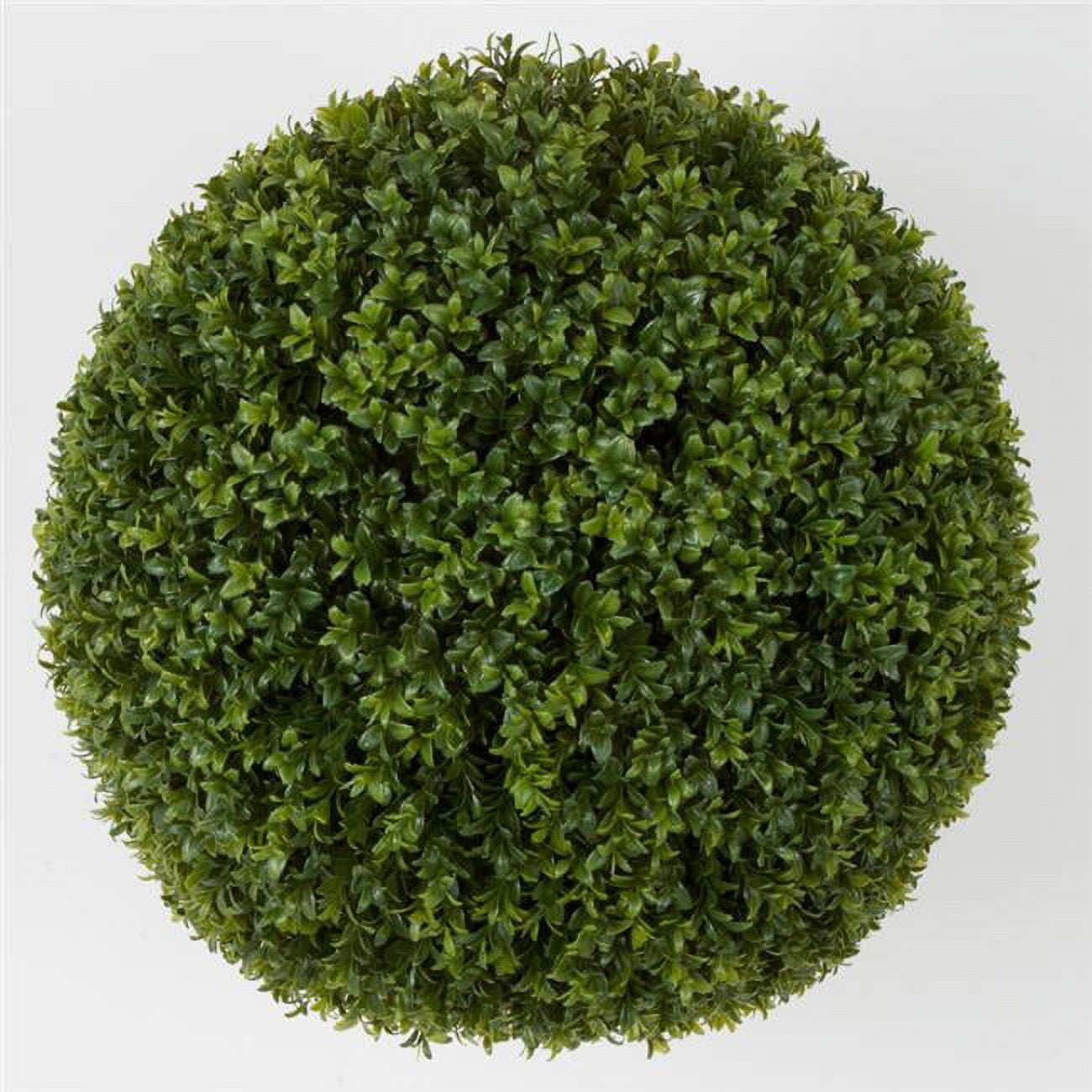 24 in. Boxwood Ball, Green